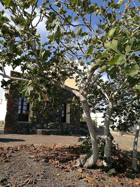 Сasa de vacaciones Casa Rural Domingo Pio Echedo